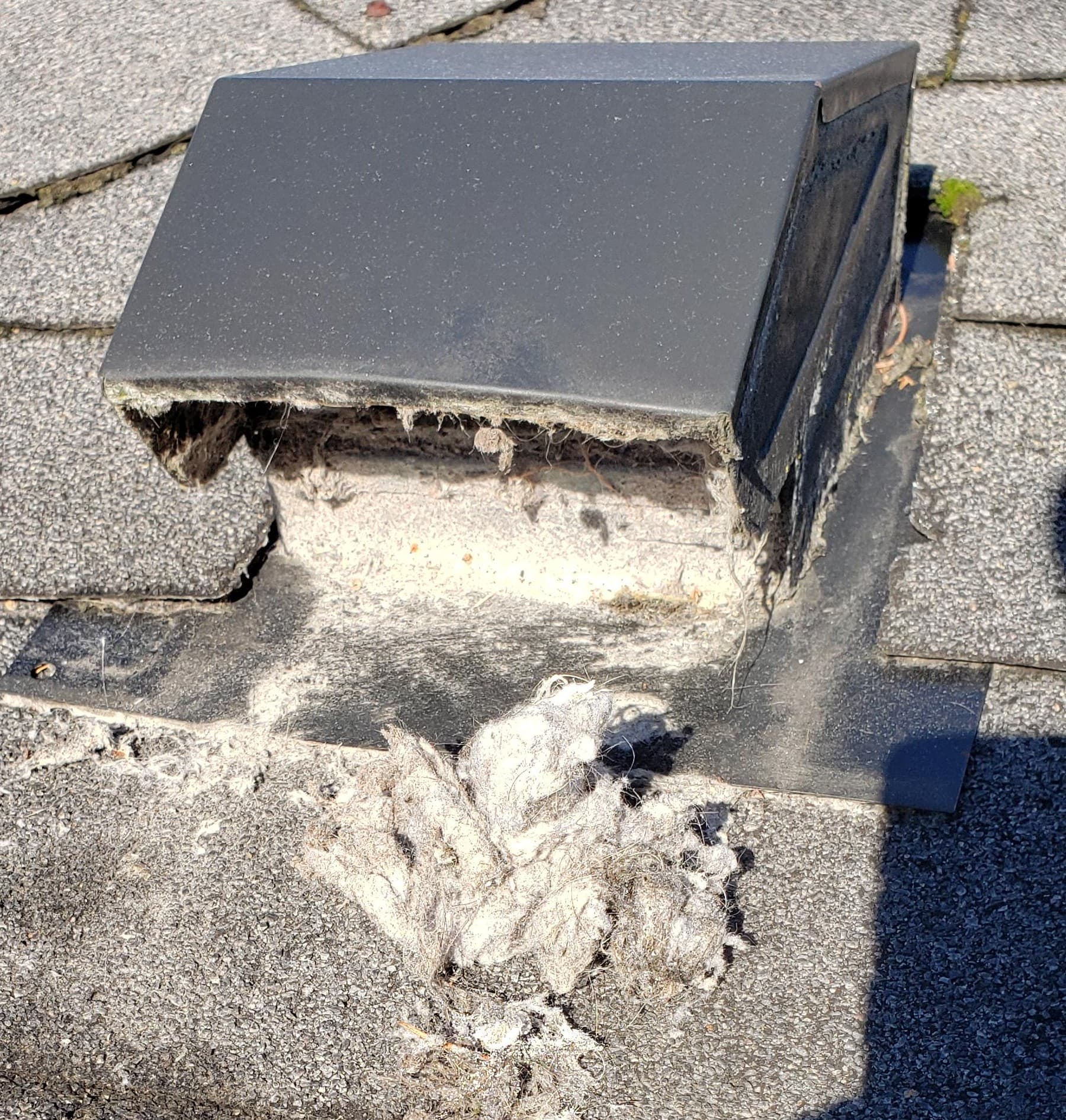 Thick blanket of lint completely blocking dryer vent