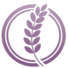 Lavash Logo